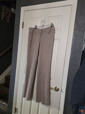 Women's Editor Taupe Boot-Cut Dress Pants 34" Inseam
